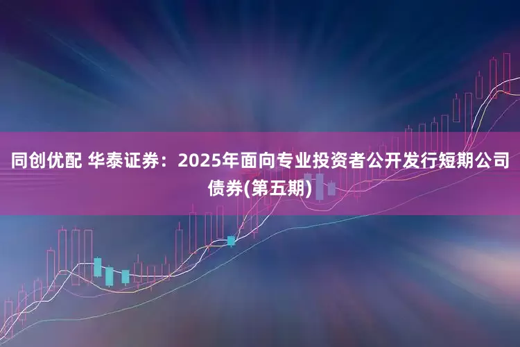 同创优配 华泰证券：2025年面向专业投资者公开发行短期公司债券(第五期)