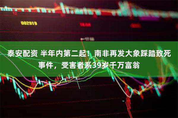 泰安配资 半年内第二起！南非再发大象踩踏致死事件，受害者系39岁千万富翁