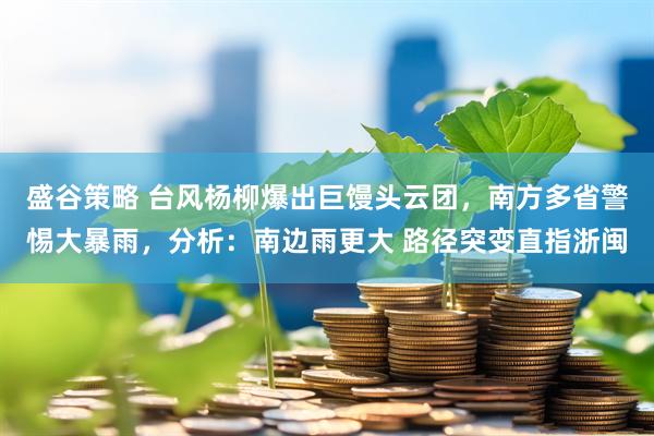 盛谷策略 台风杨柳爆出巨馒头云团，南方多省警惕大暴雨，分析：南边雨更大 路径突变直指浙闽
