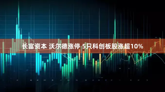 长富资本 沃尔德涨停 5只科创板股涨超10%