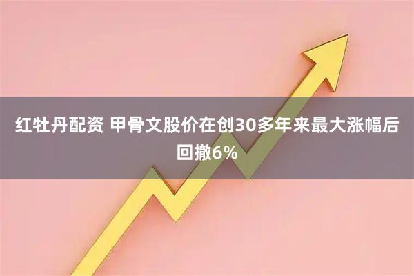 红牡丹配资 甲骨文股价在创30多年来最大涨幅后回撤6%
