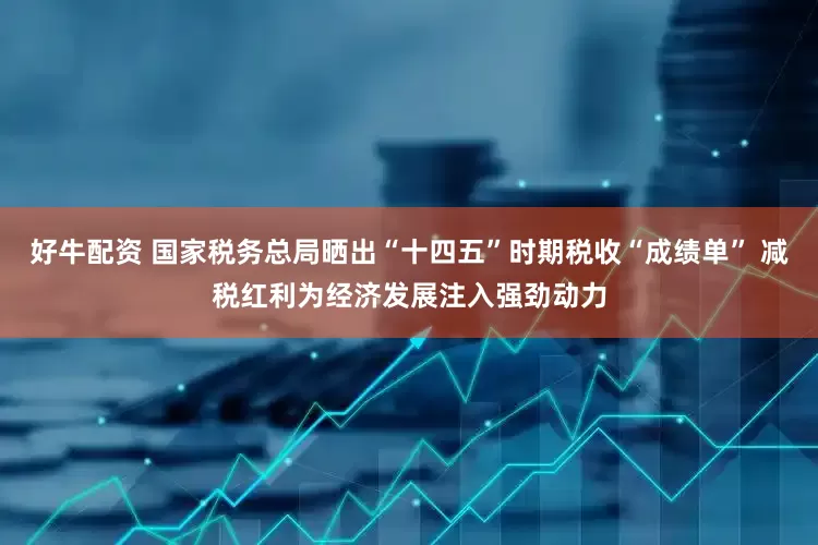 好牛配资 国家税务总局晒出“十四五”时期税收“成绩单” 减税红利为经济发展注入强劲动力