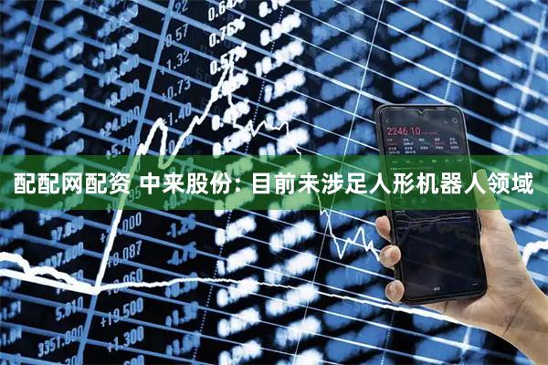 配配网配资 中来股份: 目前未涉足人形机器人领域