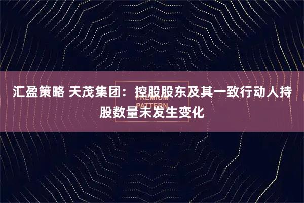 汇盈策略 天茂集团：控股股东及其一致行动人持股数量未发生变化